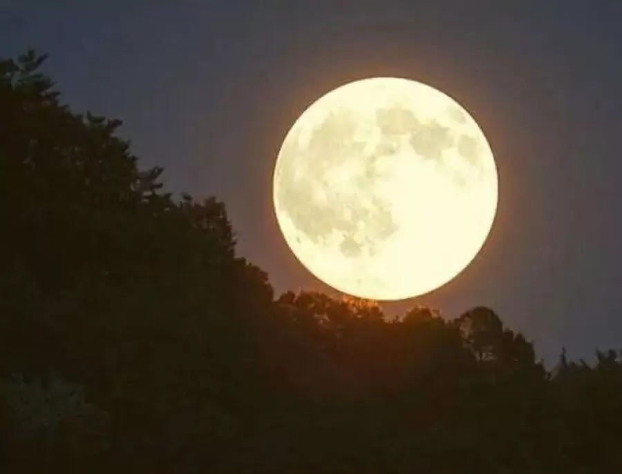 مدار الساعة,أخبار الأردن,اخبار الاردن,#القمر_العملاق,#الاكتمال_البدري,#السماء_المشرقة