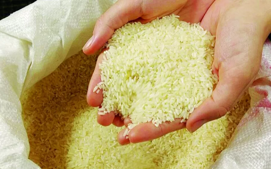 مدار الساعة,أخبار اقتصادية,أسعار النفط,#أسعار_الأرز,#الأمم_المتحدة,#الطلب_على_الأرز