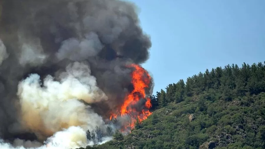 مدار الساعة,أخبار الأردن,اخبار الاردن,وزارة الخارجية وشؤون المغتربين,وزارة الخارجية,سلاح الجو الملكي,1. #مكافحة_الحرائق,2. #التضامن_العربي,3. #المساعدة_الإنسانية