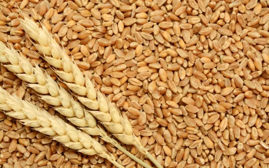 مدار الساعة,أخبار اقتصادية,وكالة الأنباء الأردنية,درجات الحرارة