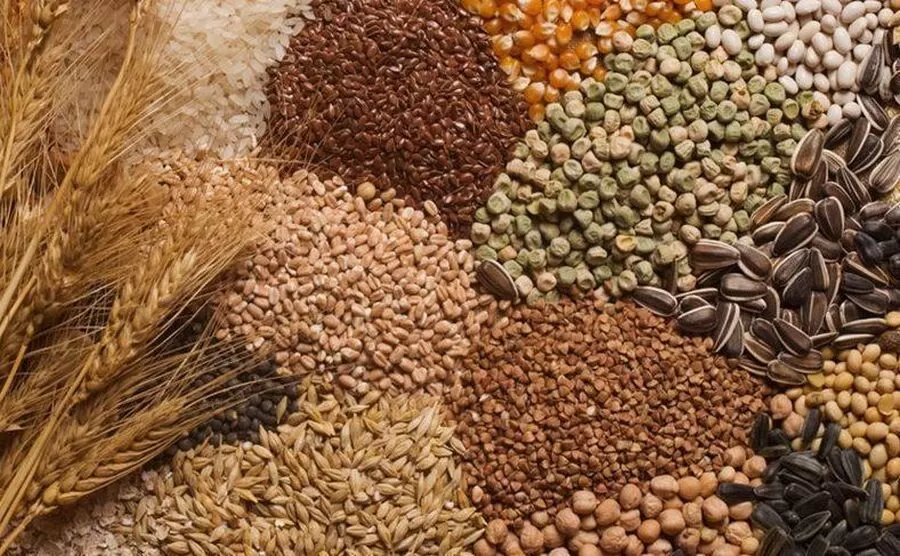 مدار الساعة,أخبار الأردن,اخبار الاردن