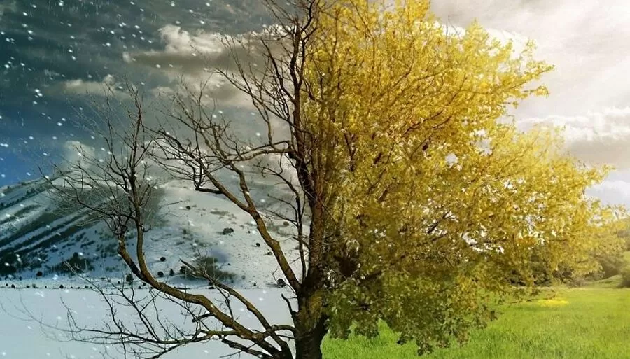 مدار الساعة,مناسبات أردنية,وسائل التواصل الاجتماعي