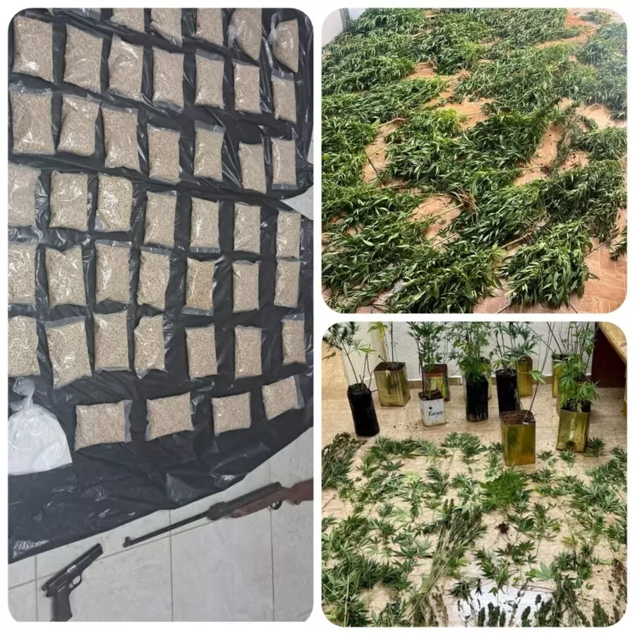 مدار الساعة,أخبار الأردن,اخبار الاردن,مديرية الأمن العام,الأمن العام,محكمة أمن الدولة