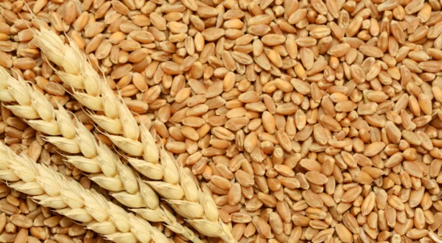 مدار الساعة,أخبار اقتصادية