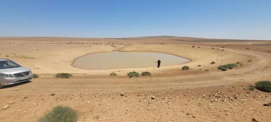 مدار الساعة,مناسبات أردنية