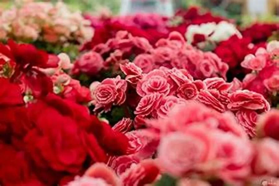مدار الساعة,أخبار المجتمع الأردني