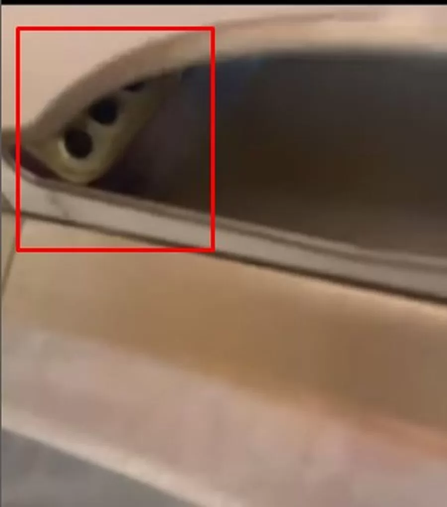 مدار الساعة,Video,فيديو,أخبار خفيفة ومنوعة,وزارة الداخلية