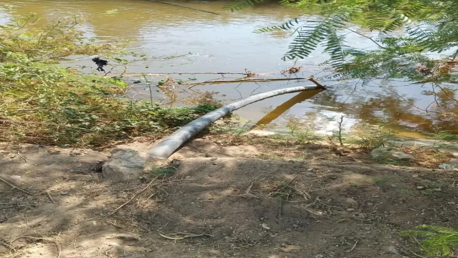 مدار الساعة,أخبار الأردن,اخبار الاردن,سلطة وادي الأردن,وادي الأردن,الإدارة الملكية لحماية البيئة,البحر الميت