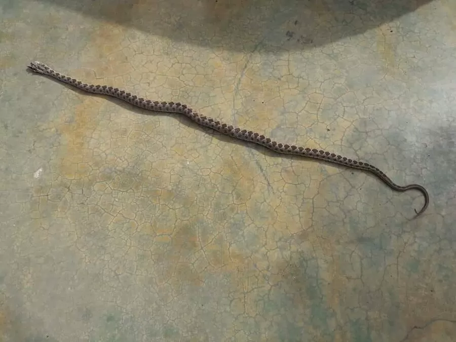 مدار الساعة,أخبار الأردن,اخبار الاردن,الدفاع المدني