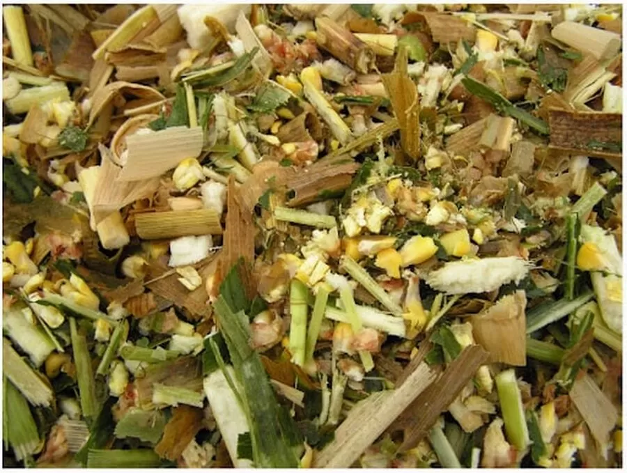 مدار الساعة,أخبار الأردن,اخبار الاردن,وزير الزراعة