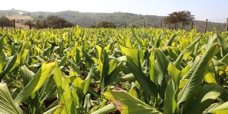 مدار الساعة,أخبار الأردن,اخبار الاردن,وزير الزراعة,وزارة الزراعة