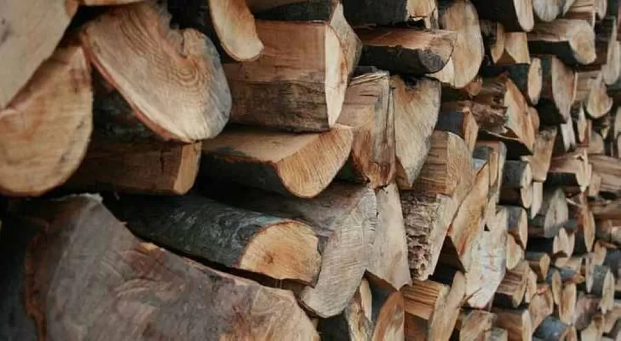 مدار الساعة,أخبار الأردن,اخبار الاردن,وكالة الأنباء الأردنية,الإدارة الملكية لحماية البيئة