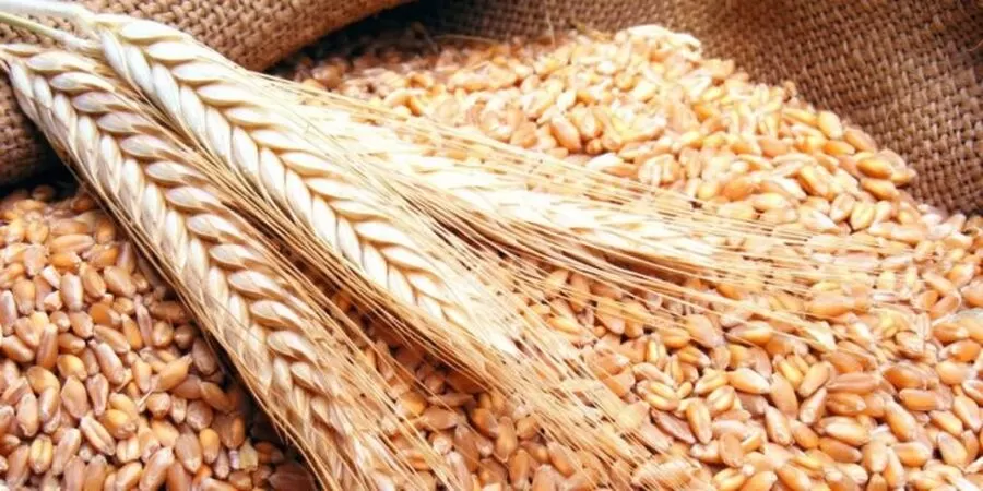 مدار الساعة,أخبار اقتصادية,وزارة الصناعة والتجارة,وزارة الصناعة