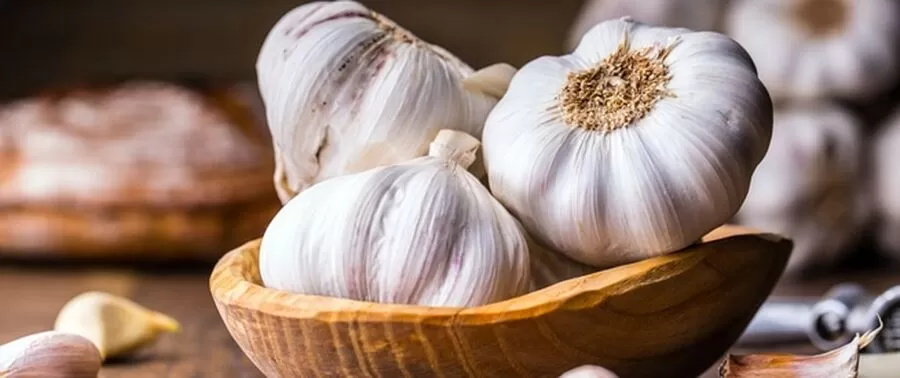 مدار الساعة,أخبار اقتصادية,وزارة الزراعة