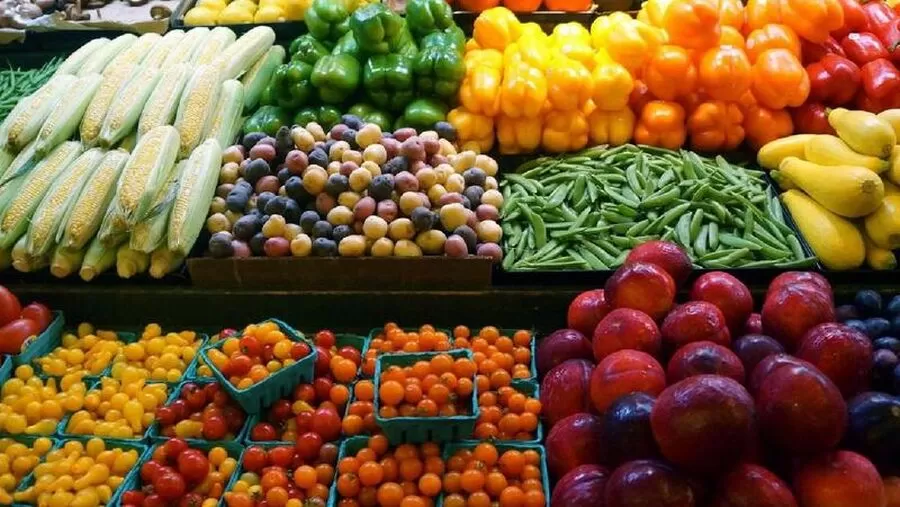 مدار الساعة,أخبار اقتصادية,أمانة عمان الكبرى