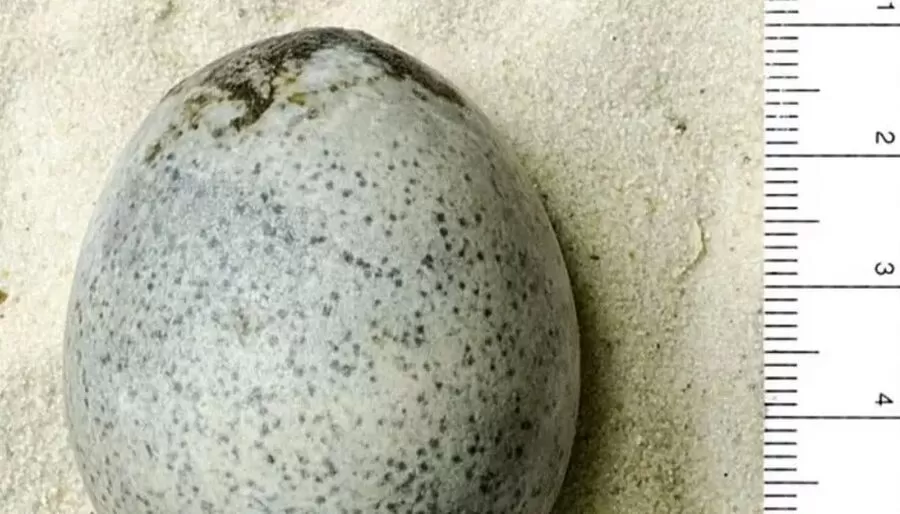 مدار الساعة,أخبار خفيفة ومنوعة