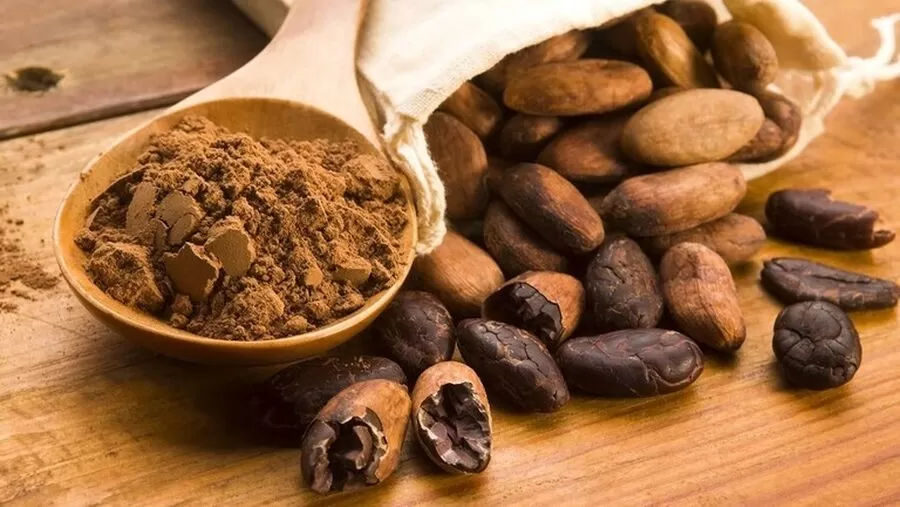 مدار الساعة,أخبار خفيفة ومنوعة