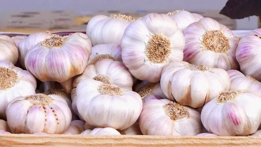 مدار الساعة,أخبار اقتصادية,وزارة الزراعة,درجات الحرارة