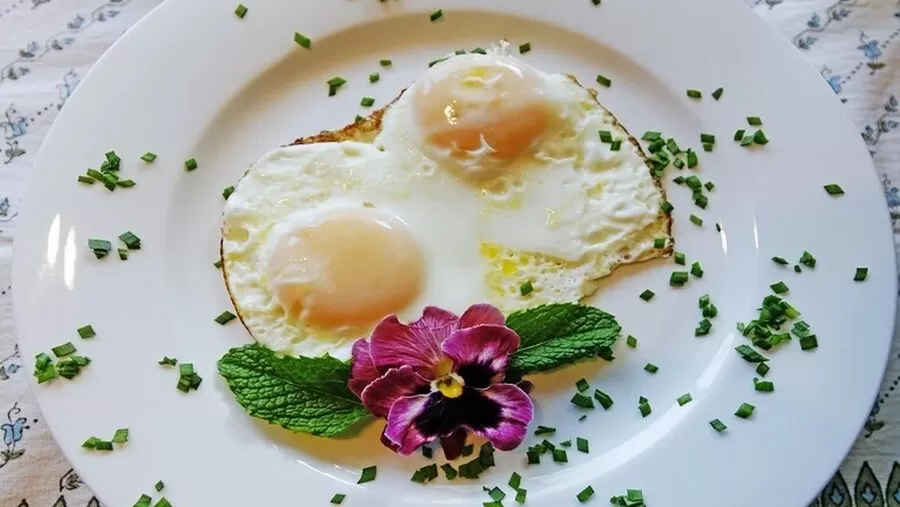 مدار الساعة,أخبار خفيفة ومنوعة