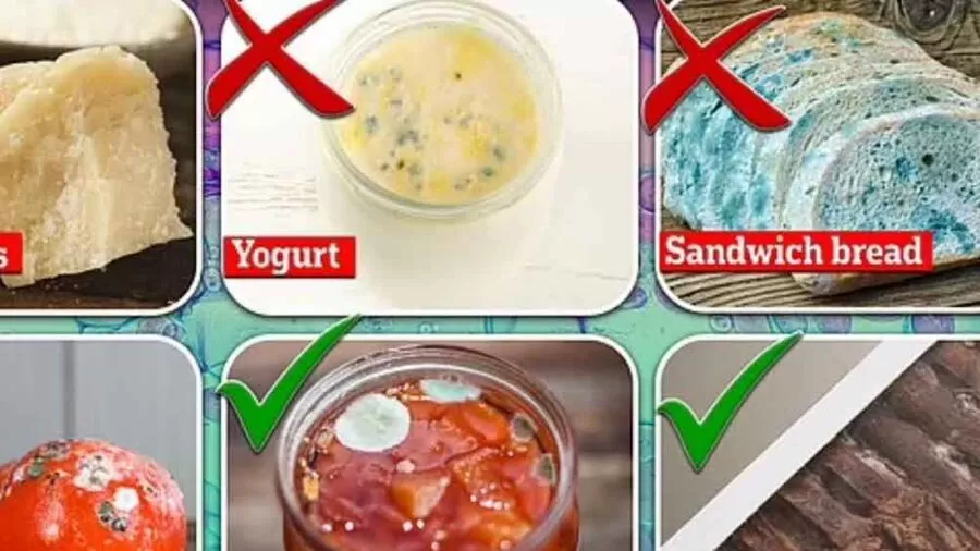 مدار الساعة,أخبار خفيفة ومنوعة