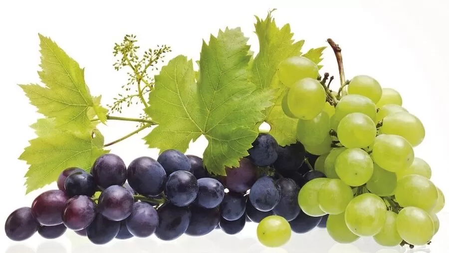 مدار الساعة,أخبار خفيفة ومنوعة