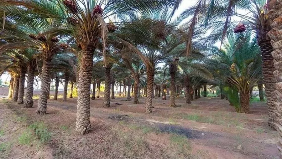 مدار الساعة,أخبار اقتصادية,وادي الأردن,المملكة العربية السعودية,وسائل التواصل الاجتماعي