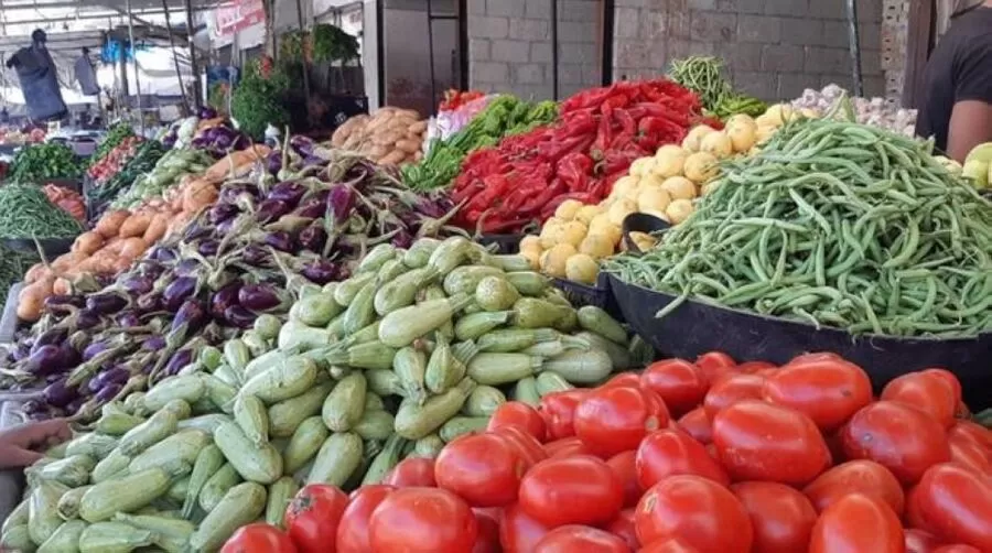 مدار الساعة,أخبار اقتصادية,وكالة الأنباء الأردنية