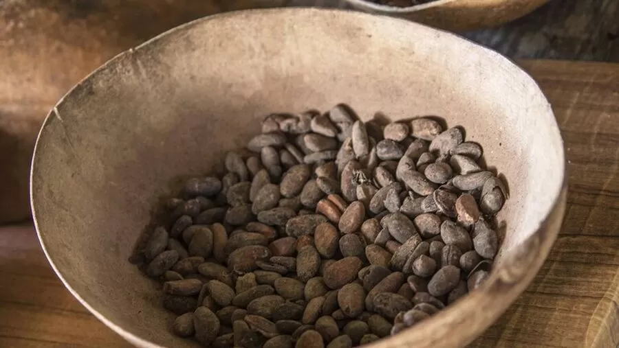 مدار الساعة,أخبار اقتصادية