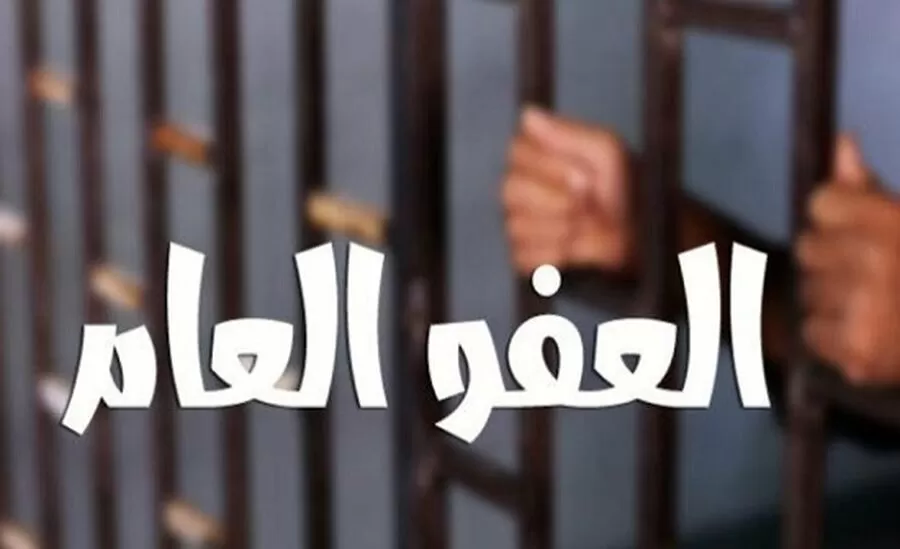 مدار الساعة,أخبار اقتصادية,الملك عبدالله الثاني,مجلس النواب,مجلس الأعيان,اليوبيل الفضي