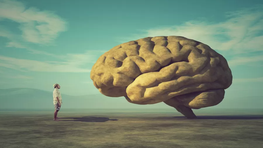 مدار الساعة,أخبار خفيفة ومنوعة