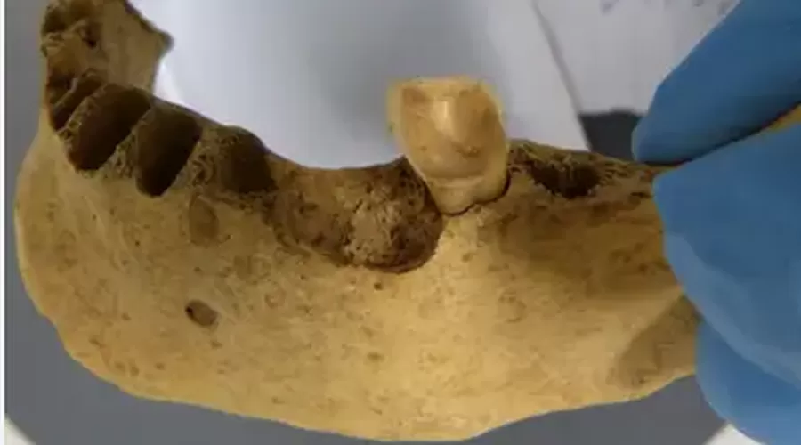 مدار الساعة,أخبار خفيفة ومنوعة