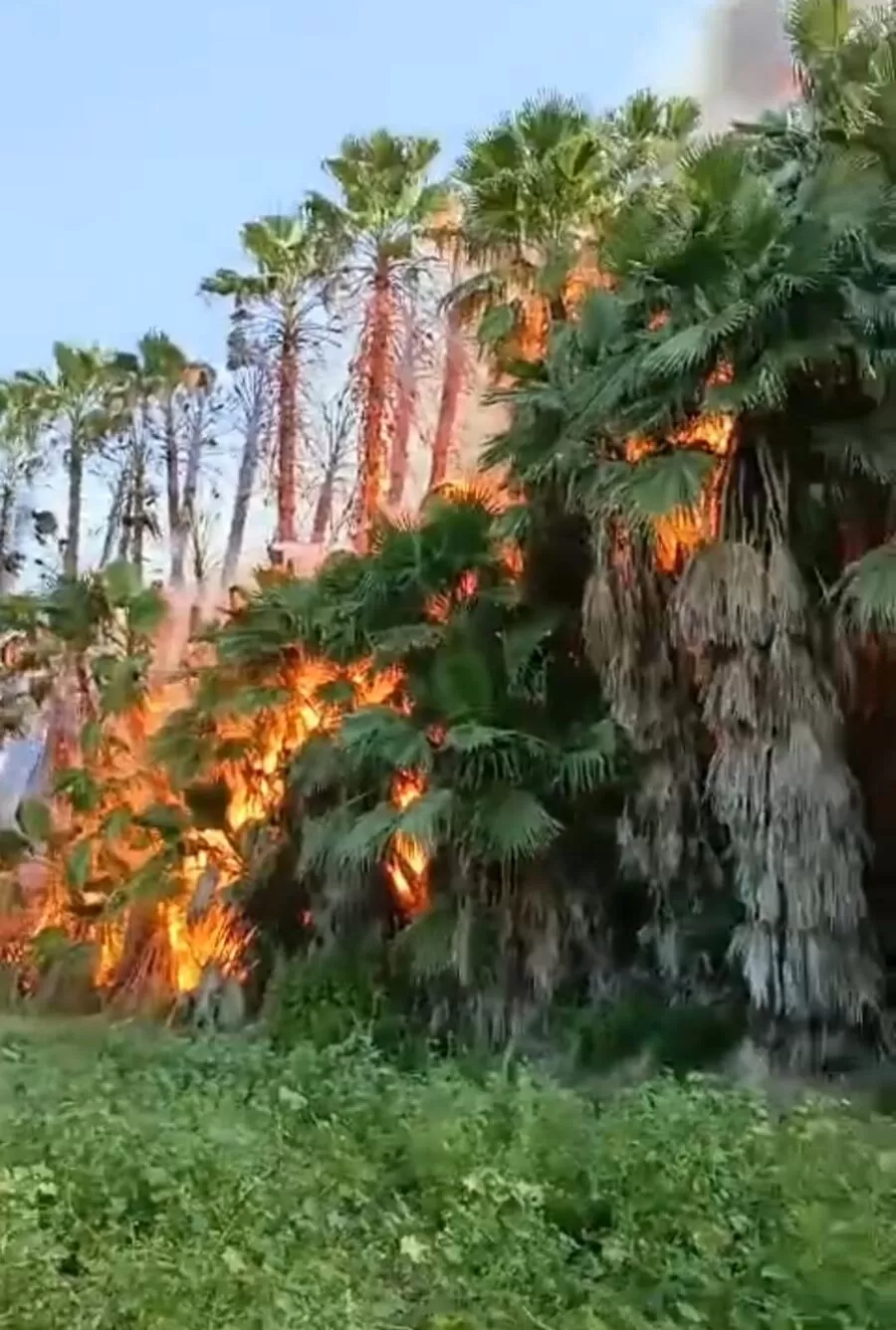 مدار الساعة,أخبار الأردن,اخبار الاردن,الدفاع المدني