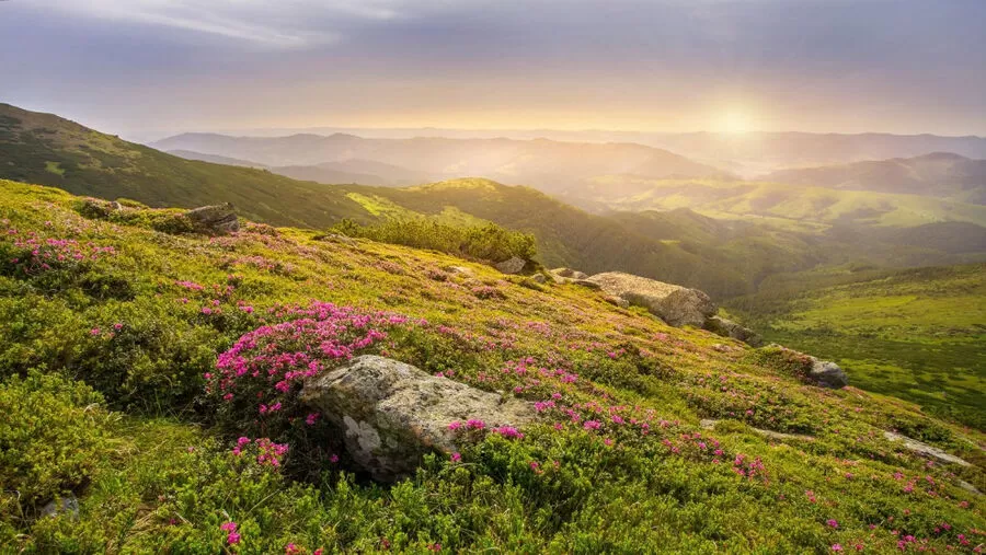 مدار الساعة,الطقس في الأردن اليوم,طقس الأردن,طقس العرب,طقس العرب الاردن,درجات الحرارة العظمى والصغرى,الأرصاد الجوية,درجات الحرارة,البحر الميت