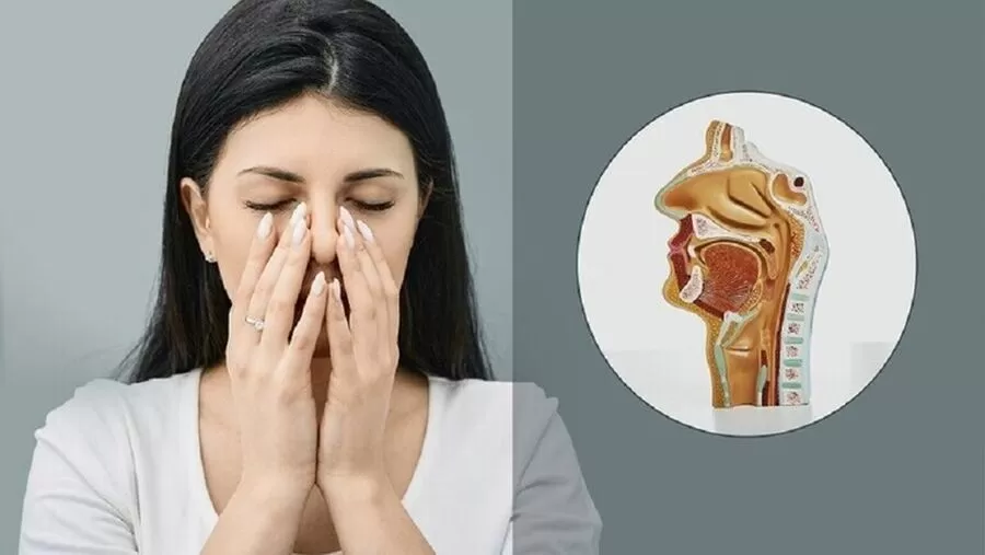 مدار الساعة,أخبار خفيفة ومنوعة
