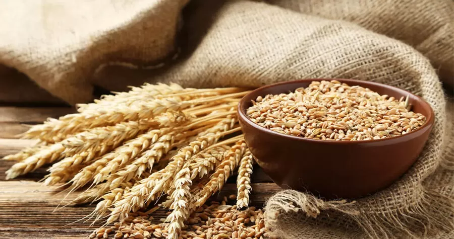 مدار الساعة,أخبار اقتصادية,وزارة الصناعة والتجارة,وزارة الصناعة