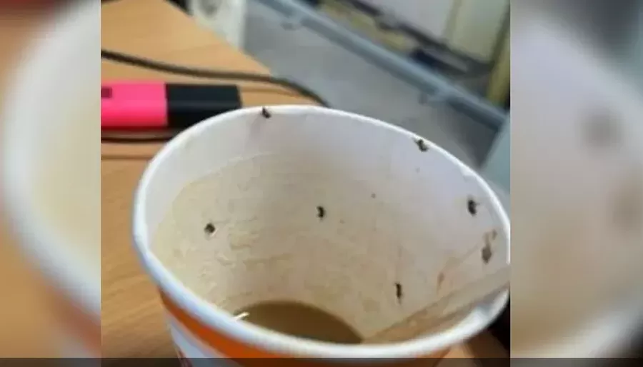 مدار الساعة,أخبار خفيفة ومنوعة