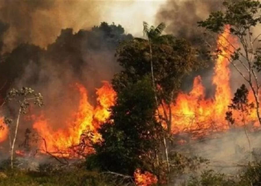 مدار الساعة,أخبار الأردن,اخبار الاردن,الإدارة الملكية لحماية البيئة