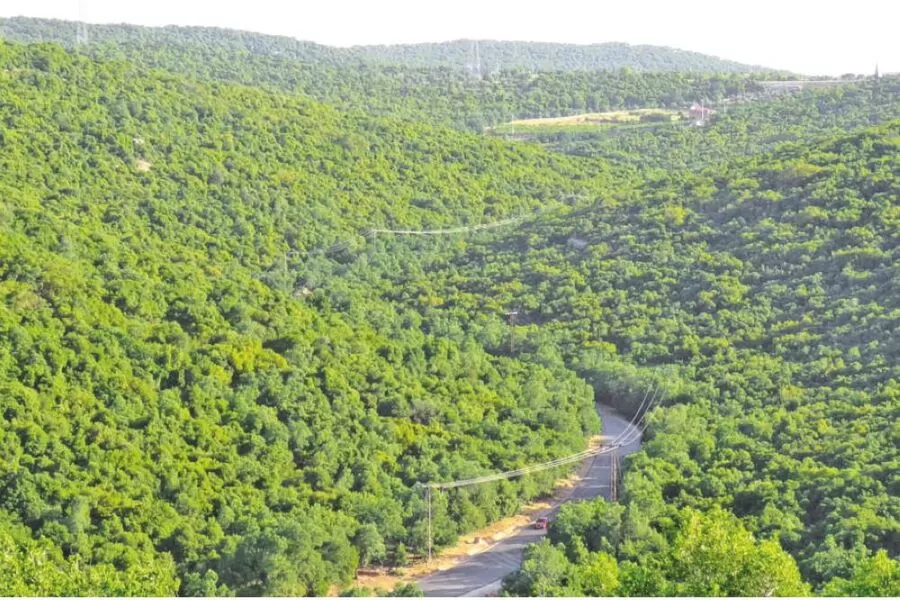 مدار الساعة,أخبار الأردن,اخبار الاردن,وكالة الأنباء الأردنية