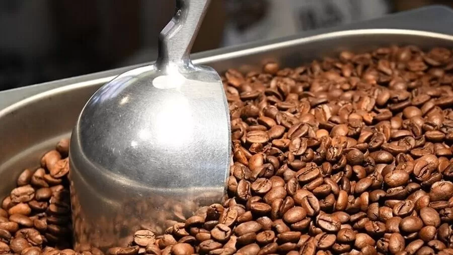 مدار الساعة,أخبار اقتصادية,وزارة الزراعة,البحوث الزراعية