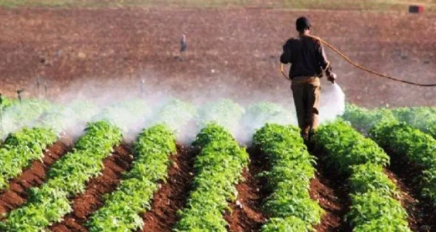 مدار الساعة,أخبار الأردن,اخبار الاردن,وكالة الأنباء الأردنية,درجات الحرارة