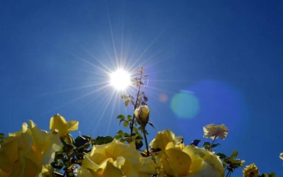 مدار الساعة,أخبار الأردن,اخبار الاردن,درجات الحرارة العظمى والصغرى,الأرصاد الجوية,درجات الحرارة,البحر الميت