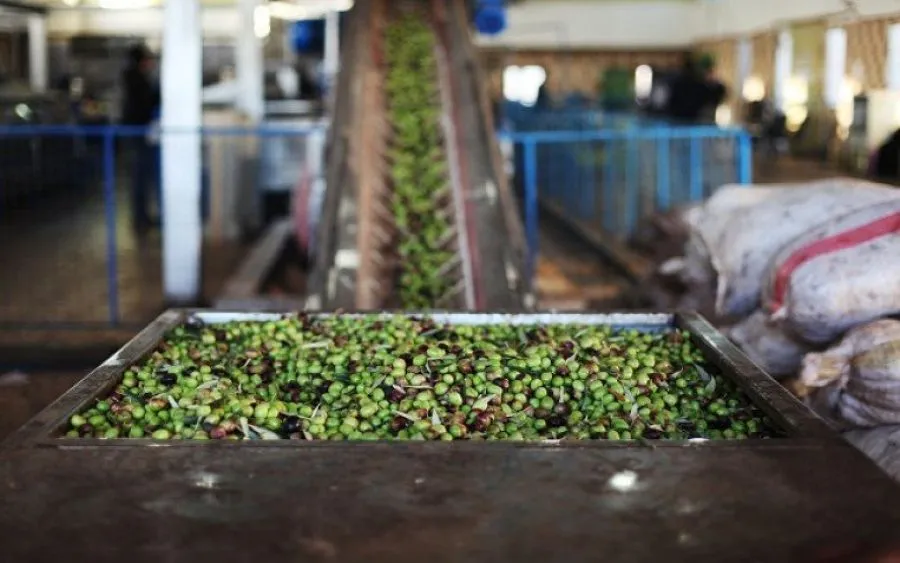 مدار الساعة,أخبار الأردن,اخبار الاردن