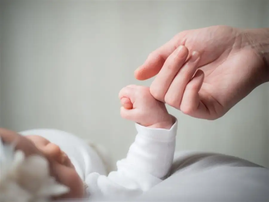 مدار الساعة,أخبار مجلس النواب الأردني,مجلس النواب