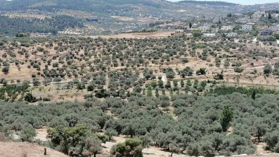 مدار الساعة,أخبار السياحة في الأردن,الحسين بن عبدالله الثاني,ولي العهد,التدريب المهني