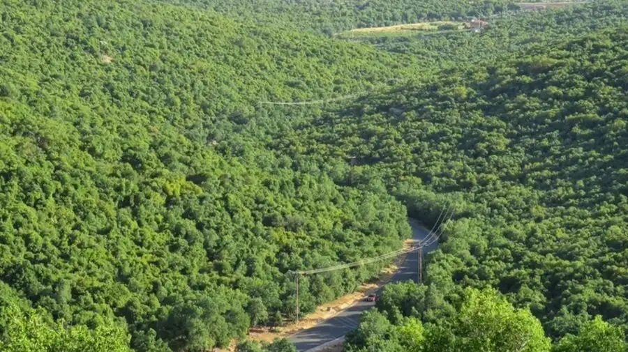 مدار الساعة,أخبار الأردن,اخبار الاردن