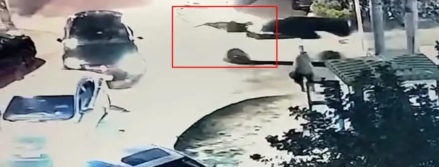 مدار الساعة,Video,فيديو,أخبار خفيفة ومنوعة