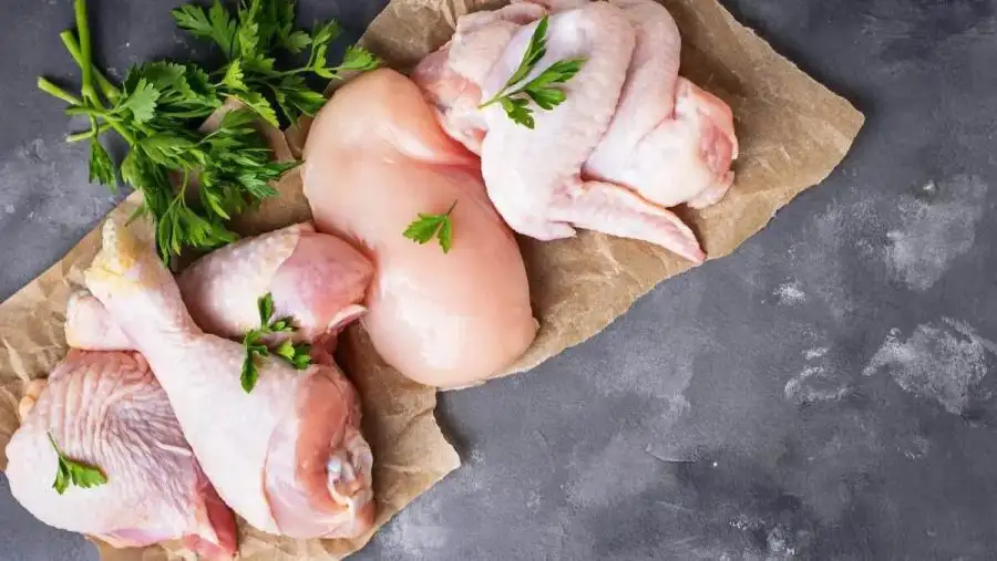 مدار الساعة,أخبار خفيفة ومنوعة,وزارة الزراعة,مدار الساعة,الدجاج,أمريكا