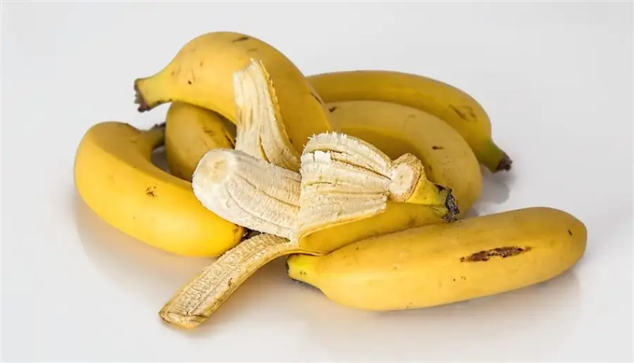 مدار الساعة,أخبار الأسرة