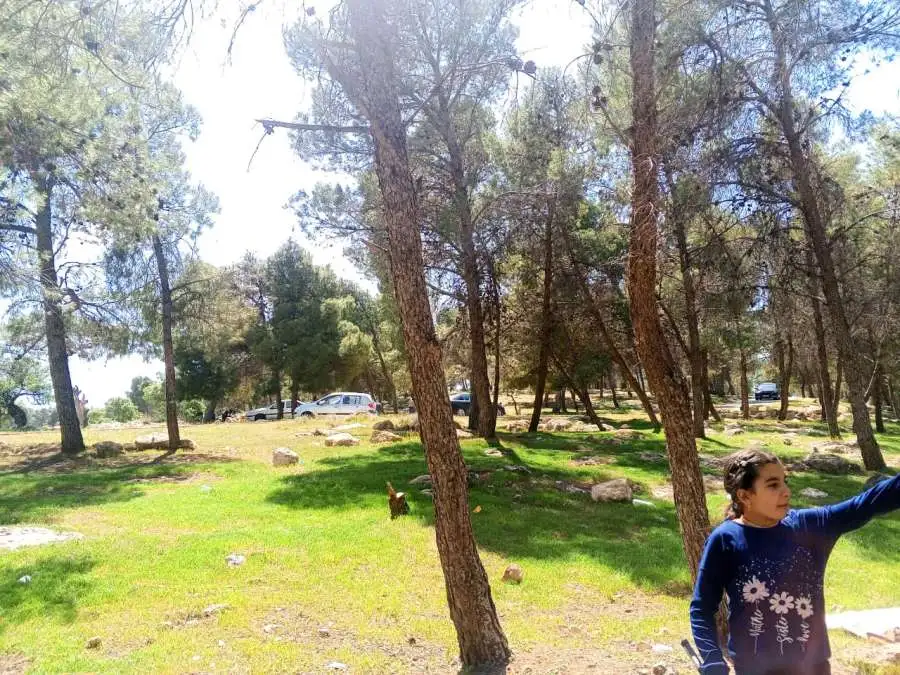 مدار الساعة,Video,فيديو,أخبار السياحة في الأردن,وكالة الأنباء الأردنية,عيد الفطر