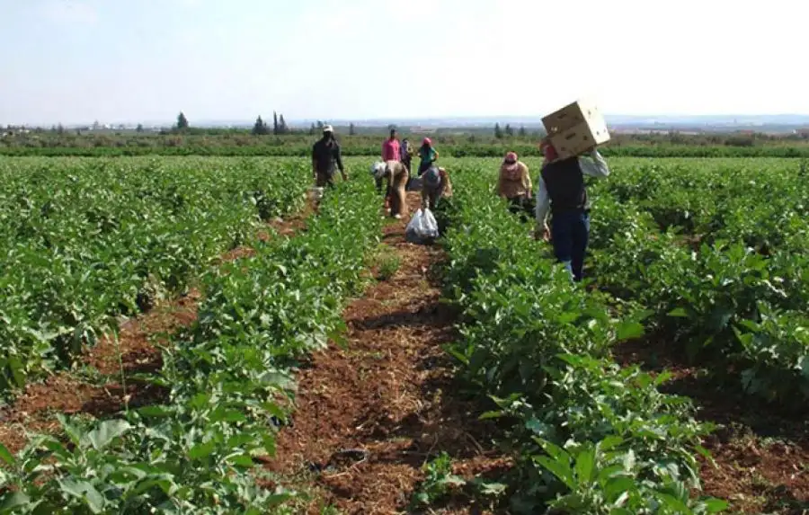 مدار الساعة,أخبار الأردن,اخبار الاردن